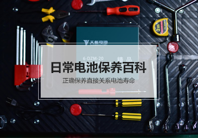 立博电池