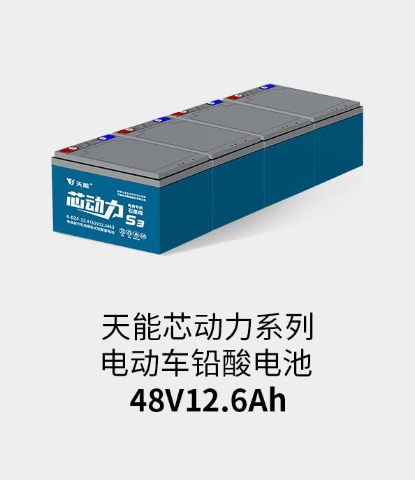 立博电池48v12ah