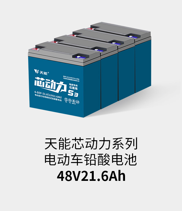 立博电池48v20ah