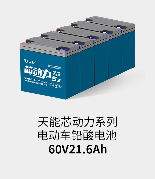 立博电池60v20ah