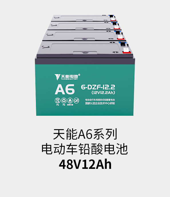 立博电池48v12ah