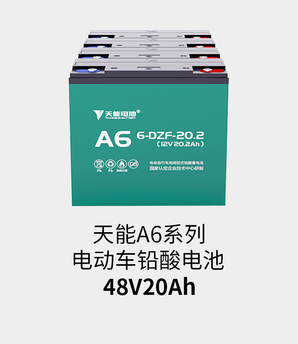 立博电池48v20ah