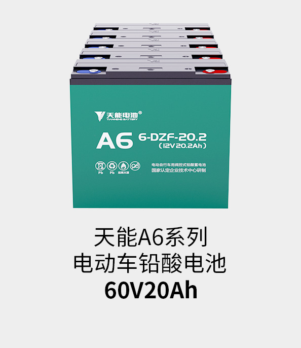 立博电池60v20ah