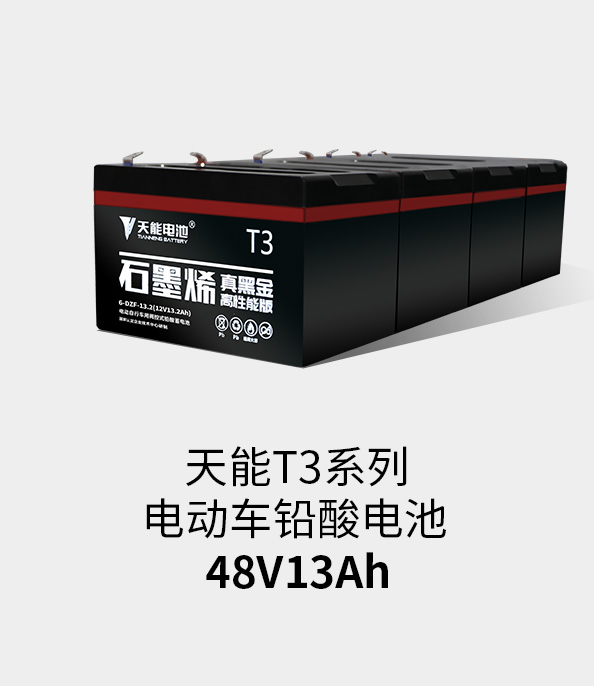 立博T3系列48v13ah
