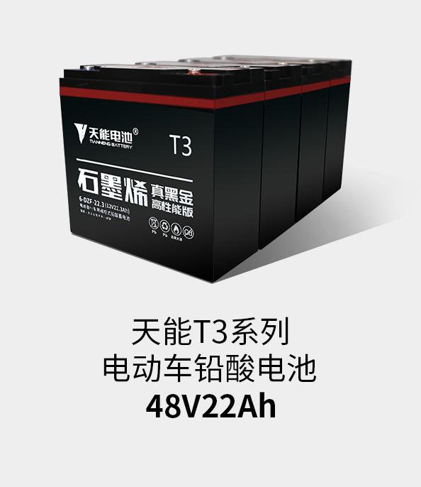 立博T3系列48v22ah