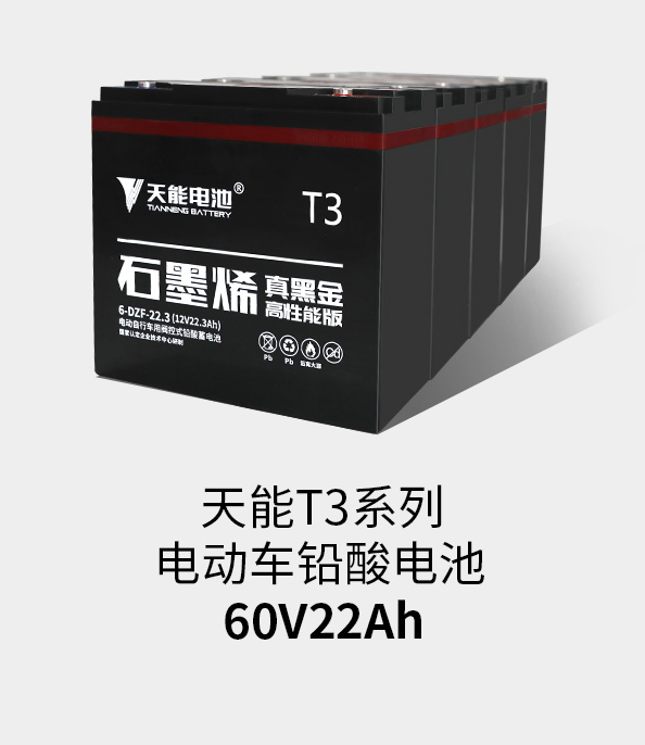 立博T3系列60v22ah
