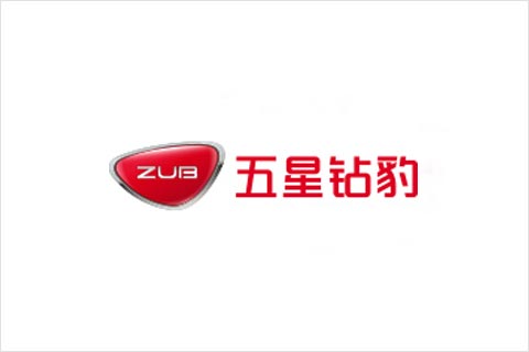 立博电池合作伙伴 五星钻豹电动车